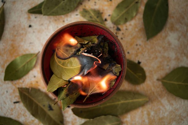 Bay Leaf Ritual for Career Fulfillment